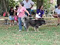 img 107